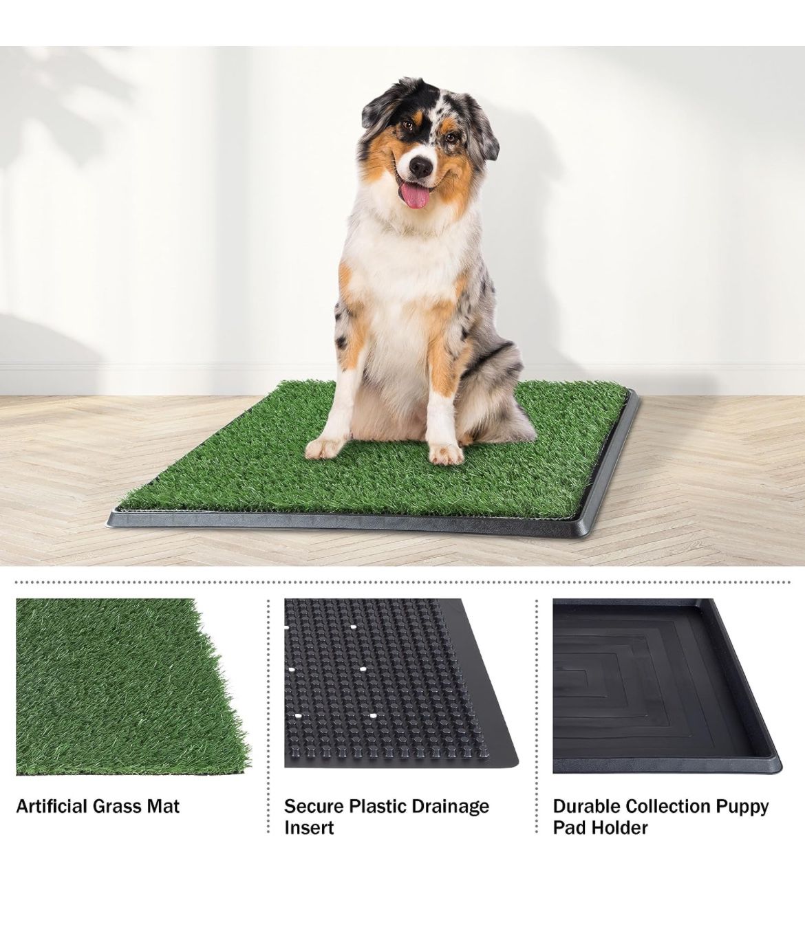 Peed Pad for Dogs 20x25 - New