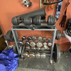 Dumbbells, Weight Plates, Adjustable Dumbbells , And Organizer