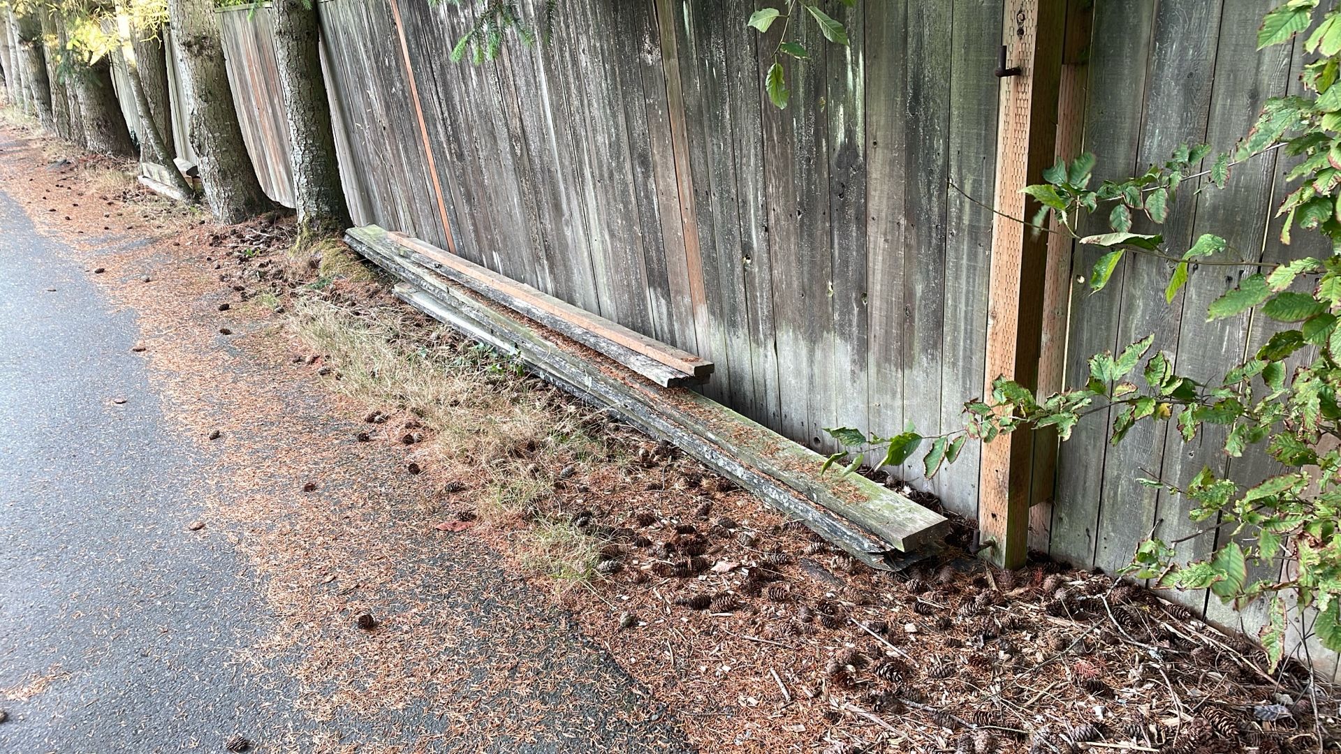 Free Wood