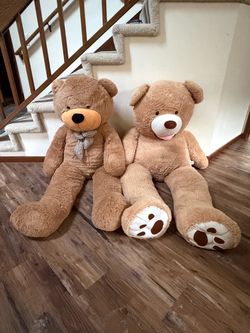 2 - 63” Teddy Bears