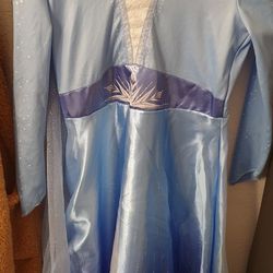 Elsa costume Dress