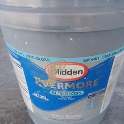 5 Gallons Interior Semigloss Light Gray Paint 