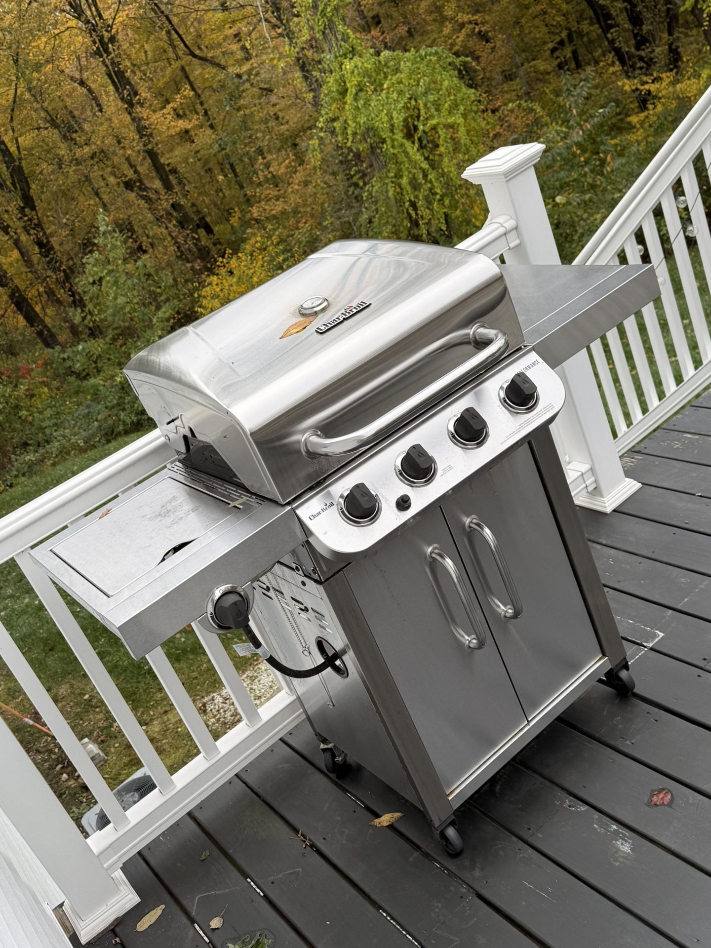 Stainless Steel Outdoor Grill