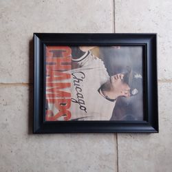 Chicago Sports - White Sox Bears