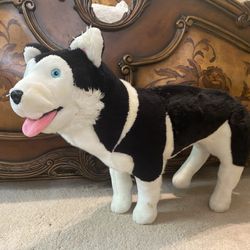 Dog Toy