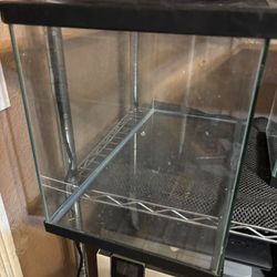 Small aquarium in medium size terrarium