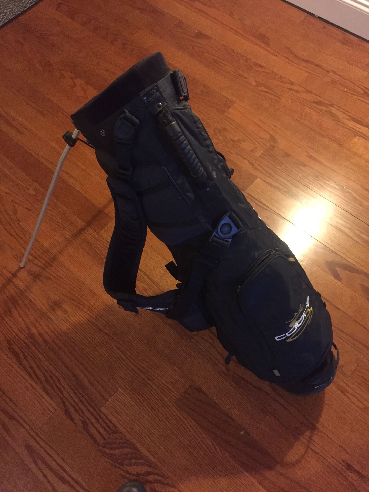 Cobra golf bag