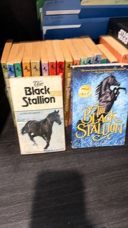 Black Stallion Books