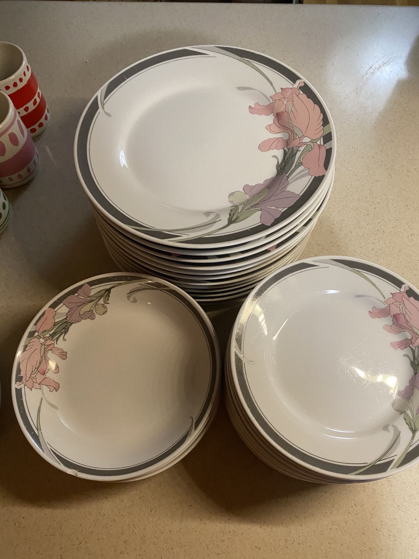 Dish Set