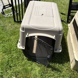 Free Medium Dog Crate