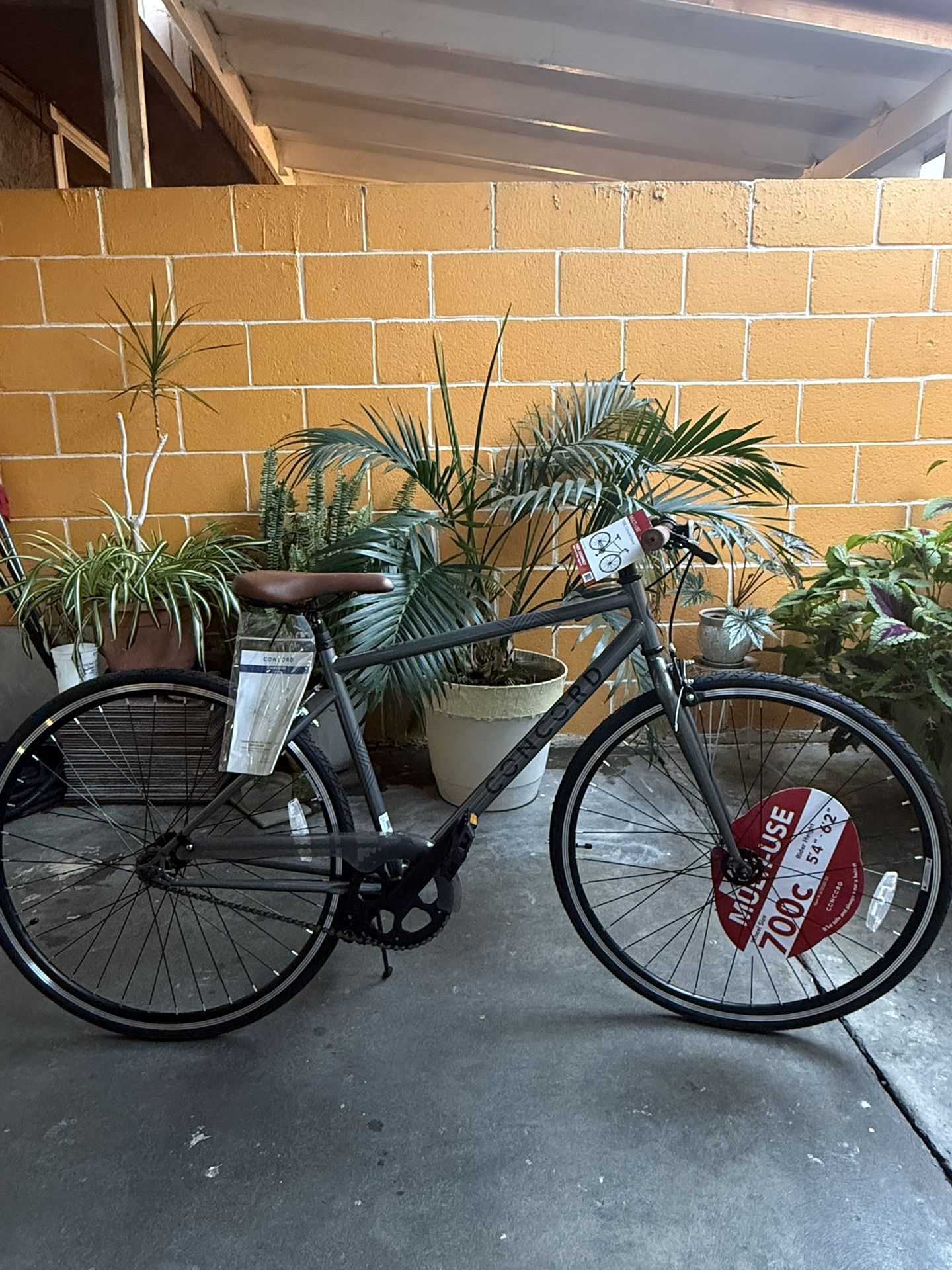 Concord Envoy City Road Bike, 700C Wheels, Grey, Fits Rider 5'4" Unisex