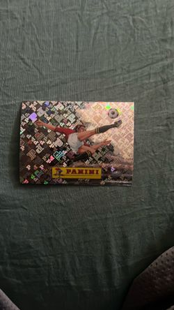 Panini sticker