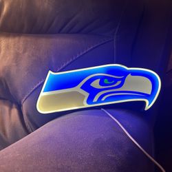 3D Printed Seahawks Light