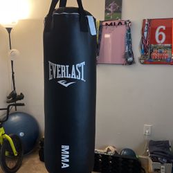 Everlast Punching Bag