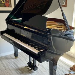 Black Baby grand piano For Sale