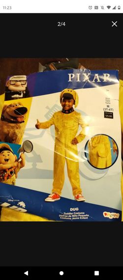 New Disney Dug Costume