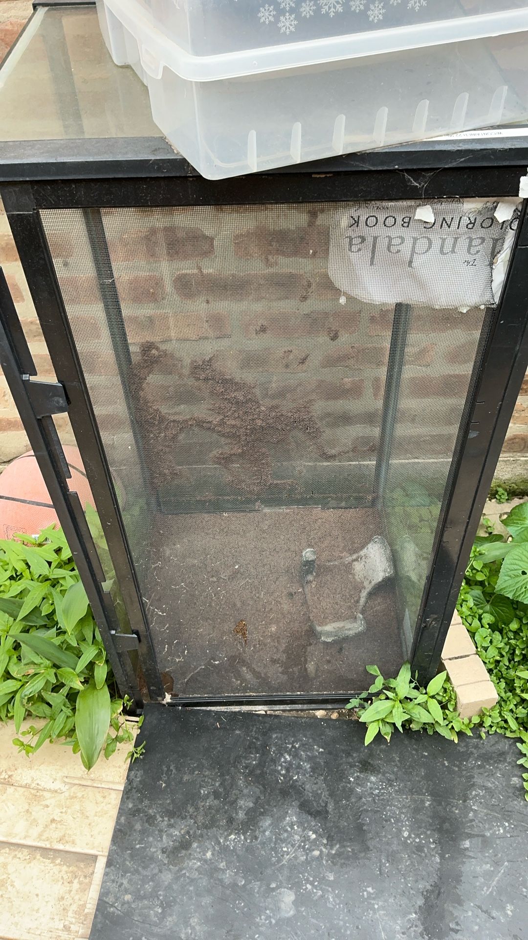 42 Gallon Reptile Glass Tank