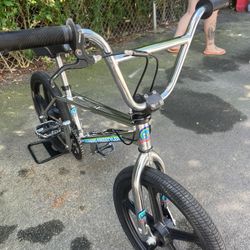 2009 Haro Master