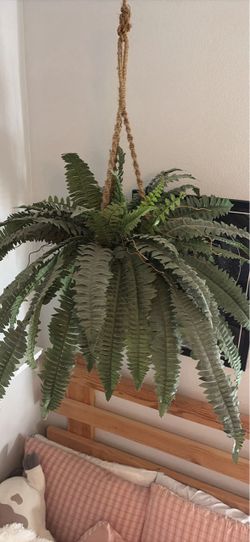 Hanging Artificial fern in woven basket