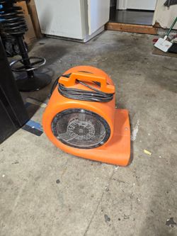 Carpet fan
