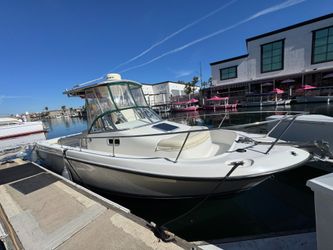 2001 Shamrock 246 WA boat
