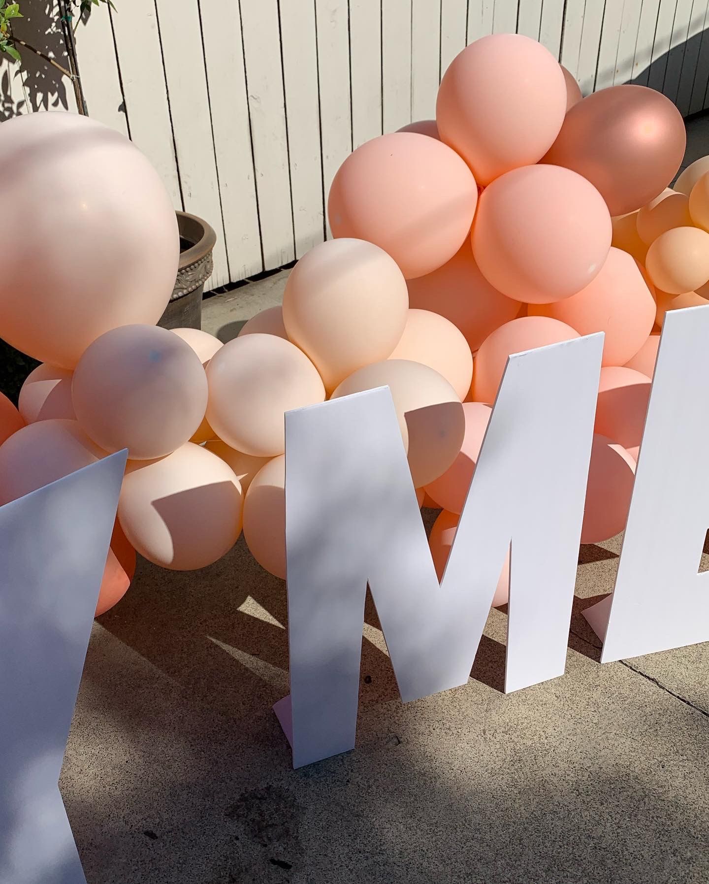 Balloon Garland