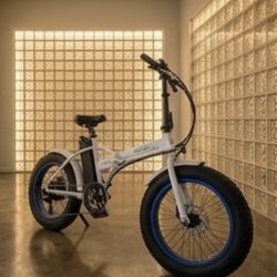 Fat Tire E-bike