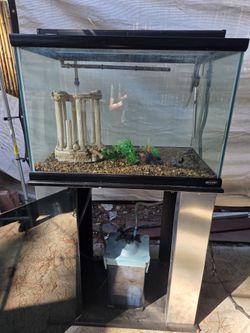50 Gallon Aquarium