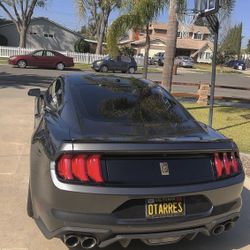 Mustang Taillights