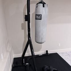 Everlast Heavy Bag, Stand, and Gloves