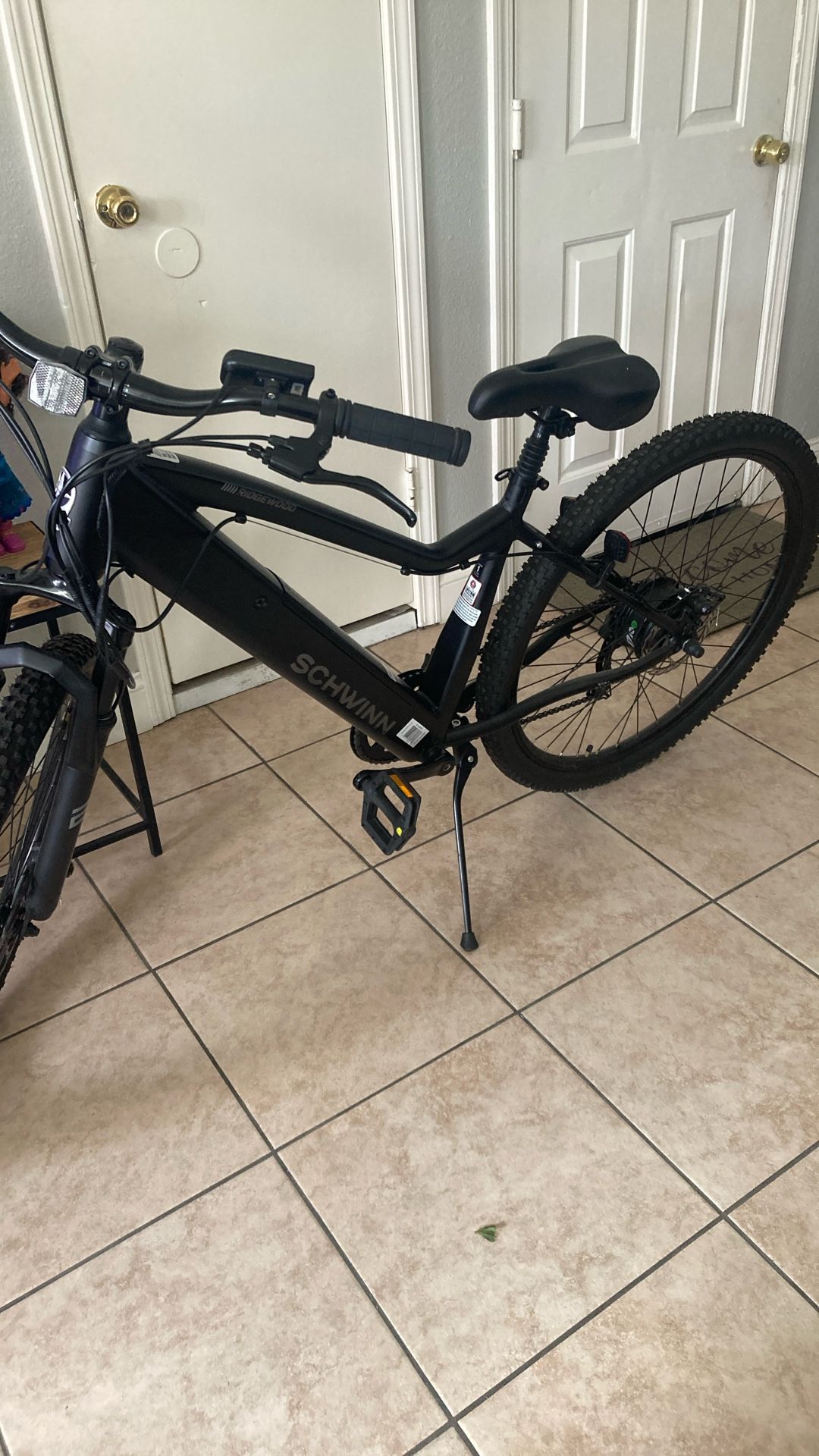 Mountain electric bike