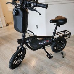 Electric Bikes 