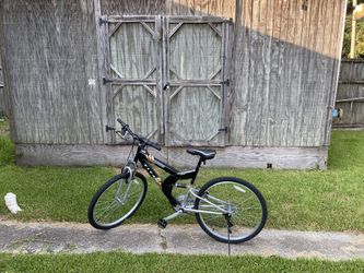 Titan punisher mountain bike hot sale