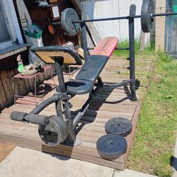 Exercise Bench 100 Libras En Pesas 