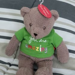 The Message Bear Brown Plush You Are Amazing Teddy Bear 