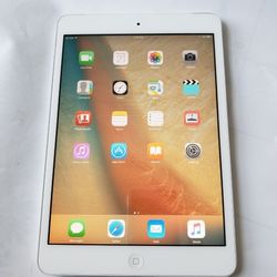 iPad Mini 1 , iCloud Unlocked,   Wi-Fi  Internet Access  , Excellent Condition Like New 
