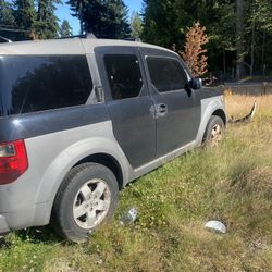 Door Shell | Honda Element 2003 OEM