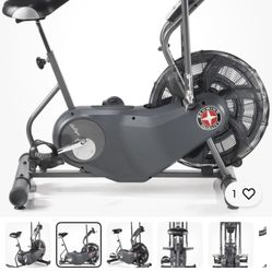 Schwinn Air Dyne Bike Serious