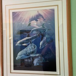 Dolphins Picture 