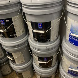 White Paints & Primer 