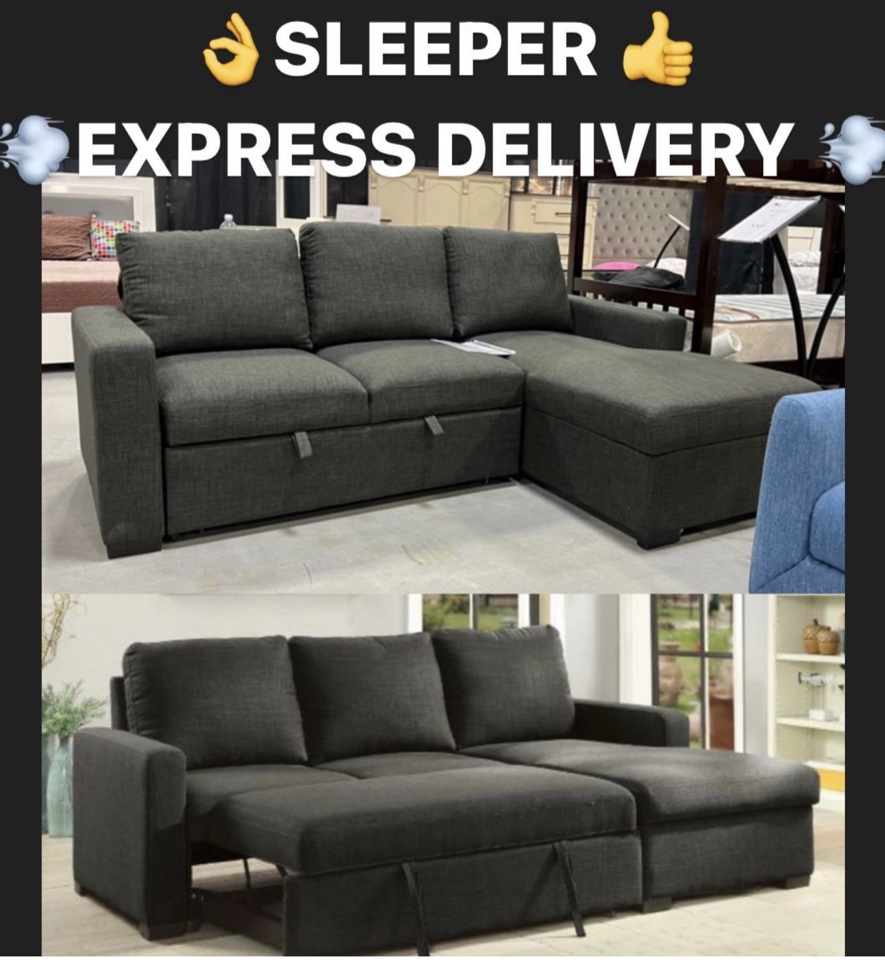 Sectional Sleeper