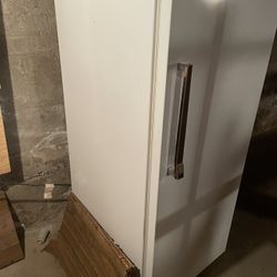 Upright Freezer 