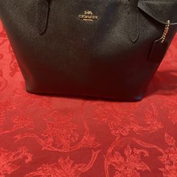 Coach Leather Purse