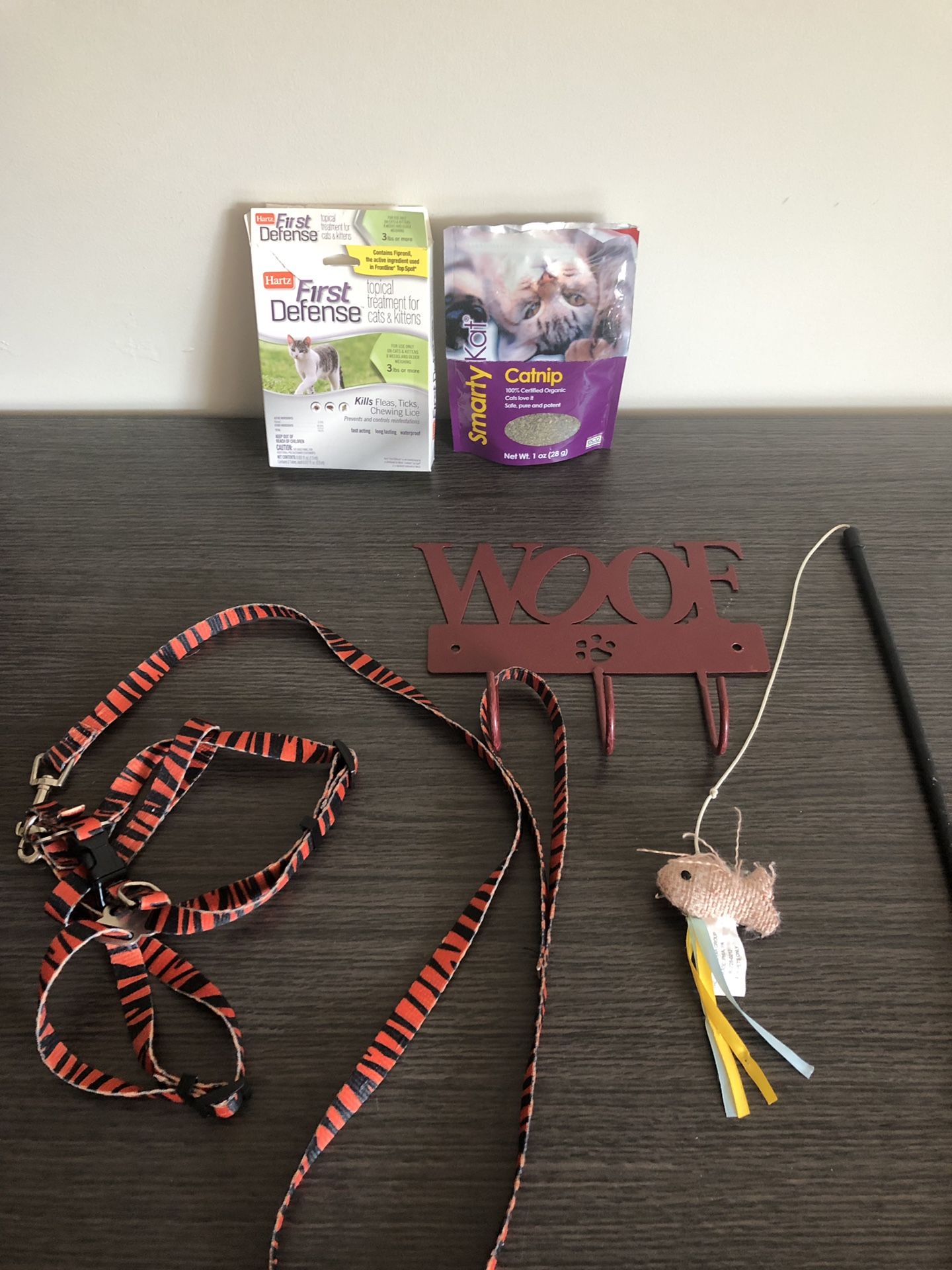 cat leash and accessories