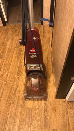 Bissell Quick steam power brush purple works great