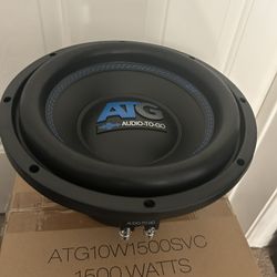 10” Subwoofer 