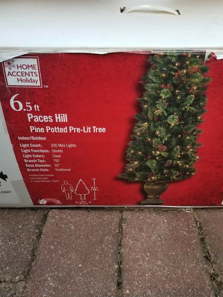 light Up Tree