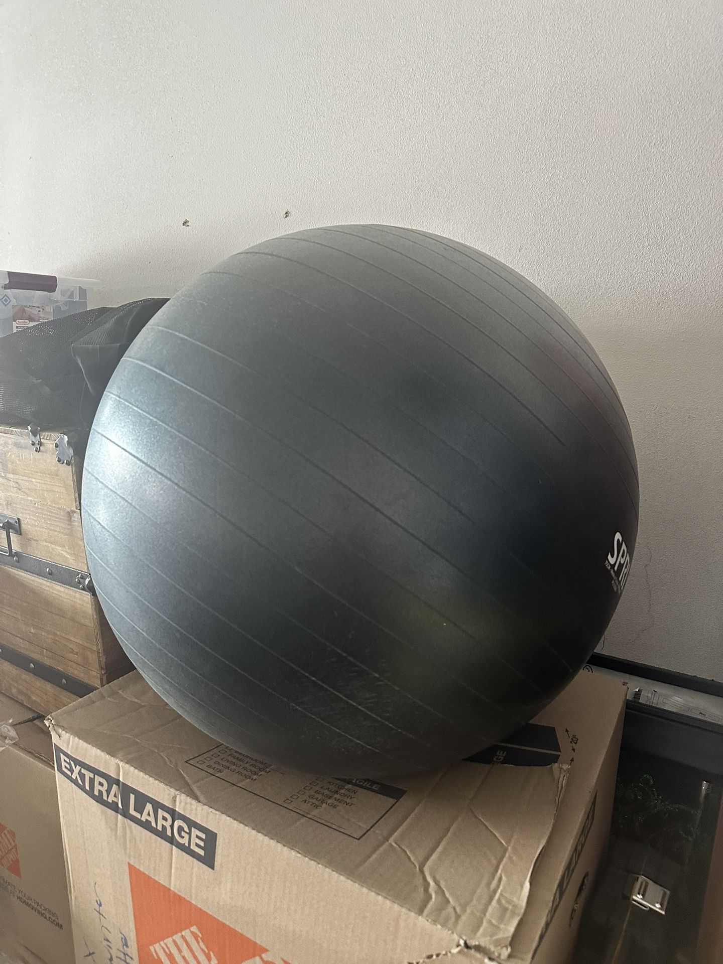Exercise Ball 
