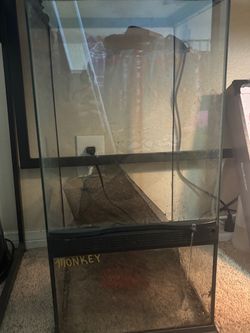 Glass Terrarium(obo)