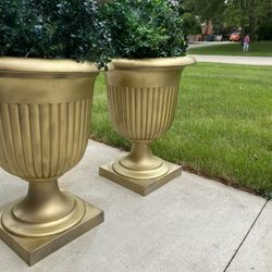 Very  Gorgeous  2  Pots 